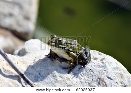 The stock photo taken for various purposes
