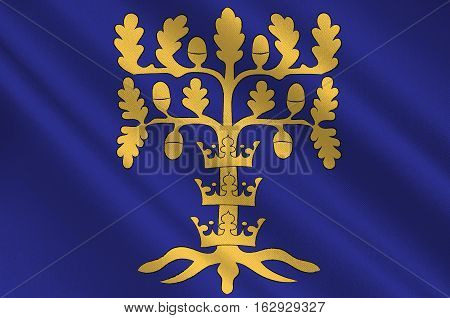 Flag of Blekinge is one of the traditional provinces of Sweden. 3d illustration