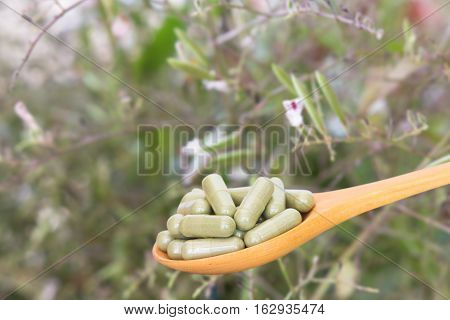 Green Herb Powder Capsules On Wooden Spoon