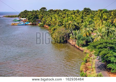 Zuari River Bank with tropical forest and palm trees. It is the largest river in the state of Goa, India.