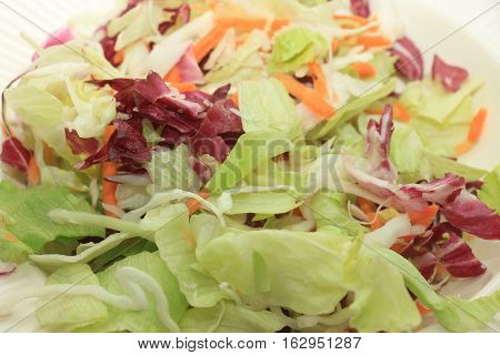 Fresh green mixed salad with sliced carots