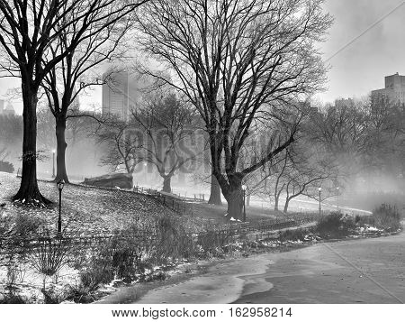 Central Park New York City on foggy morning fter snow storm