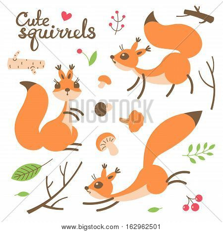 Cartoon cute squirrel. Little funny squirrels. Vector illustration grouped and layered for easy editing