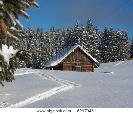 Clear and sunny winter day. Little wood house is situated in the middle of composition. Ski-track is in the foreground. Little tourist figure is seen in the edge of a wood.