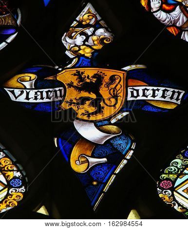 Stained Glass - Flemish Lion