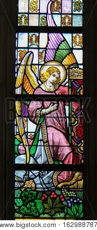 Stained Glass - Angel
