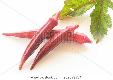 Fresh Red Okra With Leave Isolated On White Background.