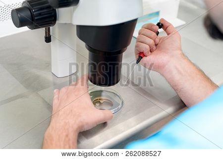 Embryologist Or Lab Technician Adjusting Needle To Fertilize A Human Egg Under The Microscope. Docto