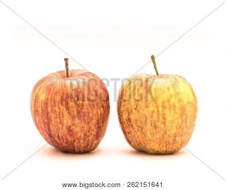 Studio Shot Two Organic Gala Apples Isolated On White