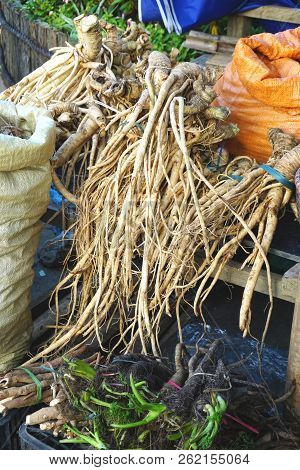 Wild Medicinal Roots And Herbs For Sale At A Rural Market In Southeast Asia