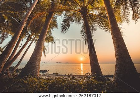 Close-up palm trees, ocean. Sunset landscape, Bali. Breathtaking scene the sunset view through the palm trees in the exotic paradise Bali island, Indonesia. Ideal background. Natural frame.
