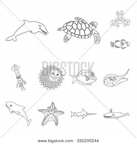 Isolated Object Of Sea And Animal Sign. Collection Of Sea And Marine Stock Symbol For Web.