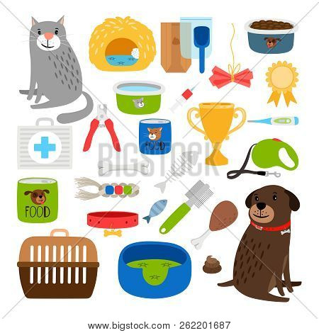 Cat And Dog Items. Stuff For Cats And Dog Infographic Service And Animal Store, Medication And Groom