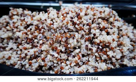 Quinoa Is Popular Health Food. High Fiber And Protien,vitamins,gluten-free And Very High In Antioxid