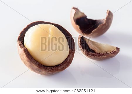 Macadamia Nutsi Solated On A White Background.
