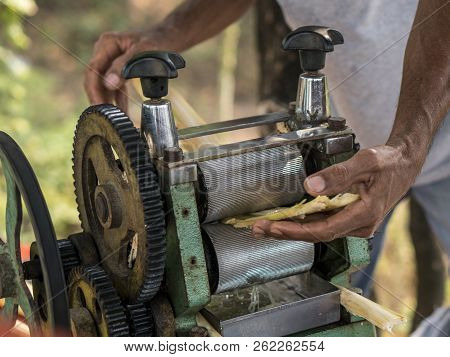 Hand Of Man Squeezing Juice From Sugar Cane. Using Manual Mechanism For That
