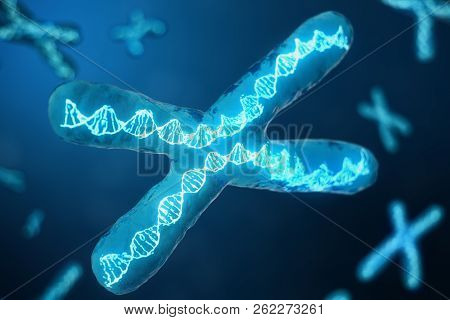 3d Illustration X-chromosomes With Dna Carrying The Genetic Code. Genetics Concept, Medicine Concept