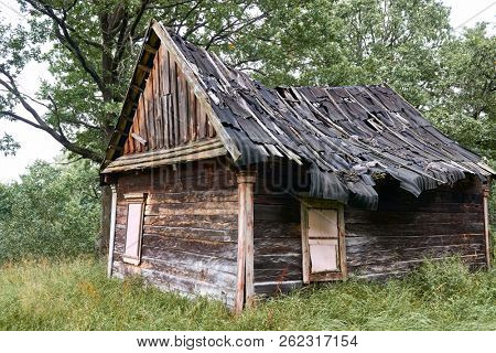 old wooden house in the forest