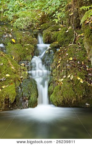 Natura bellissima cascata