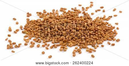 Fenugreek Seed (methi Dana),  A Useful Herb For Food  And Medication Purposes.