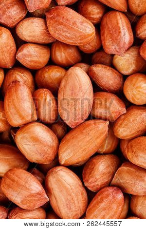 Yellow Millet Background. Healthy Grains Vegetarianism. Macro