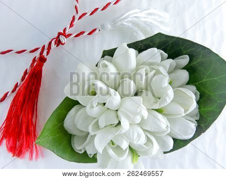 1st Of March Tradition White And Red Cord And Ghiocel Snowdrops Flower