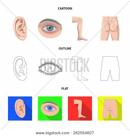 Vector Illustration Of Human And Part Logo. Collection Of Human And Woman Stock Symbol For Web.
