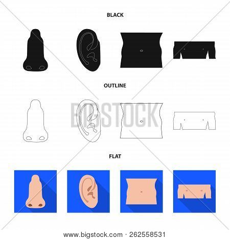 Vector Design Of Human And Part Symbol. Set Of Human And Woman Stock Symbol For Web.