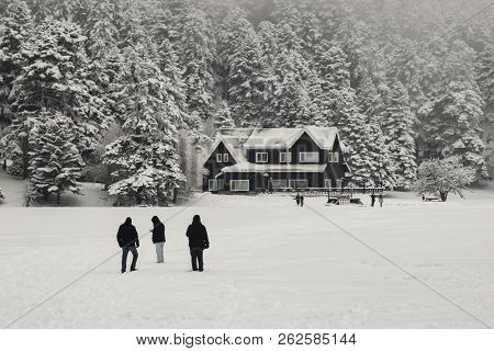 Bolu,turkey-january 28,2017.winter Landscape From Gölcük In Bolu