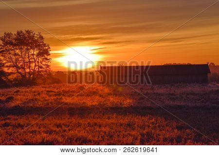 Sunrise Sunset In Golden Autumn In The Luneburg Heath