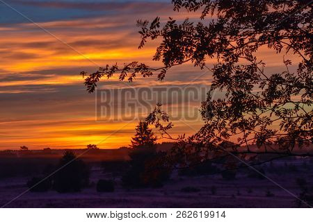 Sunrise Sunset In Golden Autumn In The Luneburg Heath