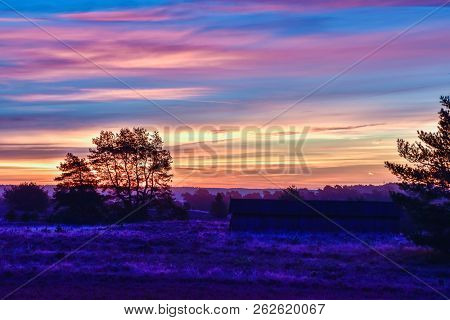 Sunrise Sunset In Golden Autumn In The Luneburg Heath