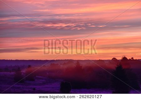 Sunrise Sunset In Golden Autumn In The Luneburg Heath