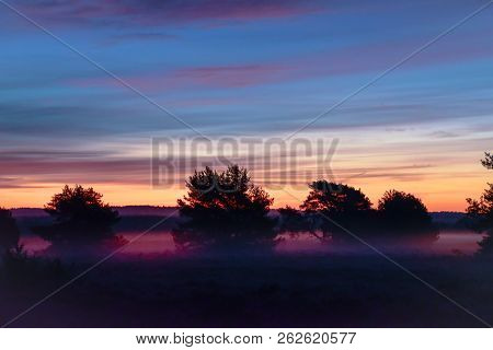 Sunrise Sunset In Golden Autumn In The Luneburg Heath