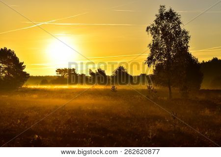 Sunrise Sunset In Golden Autumn In The Luneburg Heath