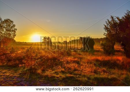Sunrise Sunset In Golden Autumn In The Luneburg Heath