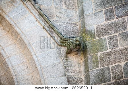 Detail Of A Gargoyle In Saint Jean-baptiste Church In Montaigu
