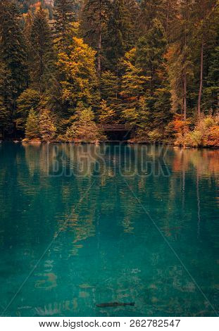 Autumn Time At Romantic Forest Lake Blausee, One Of The Best Known Mountain Lakes In Switzerland.
