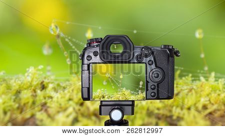 Digital Camera Over Tripod On Blur Of Macro Waterdrop On Green Moss / Lichen Over The Tree