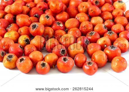hawthorn fruit, red hawthorn and human health, the healing hawthorn fruit,