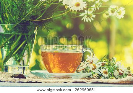 Tea With Chamomile. Selective Focus. Food And Drink.