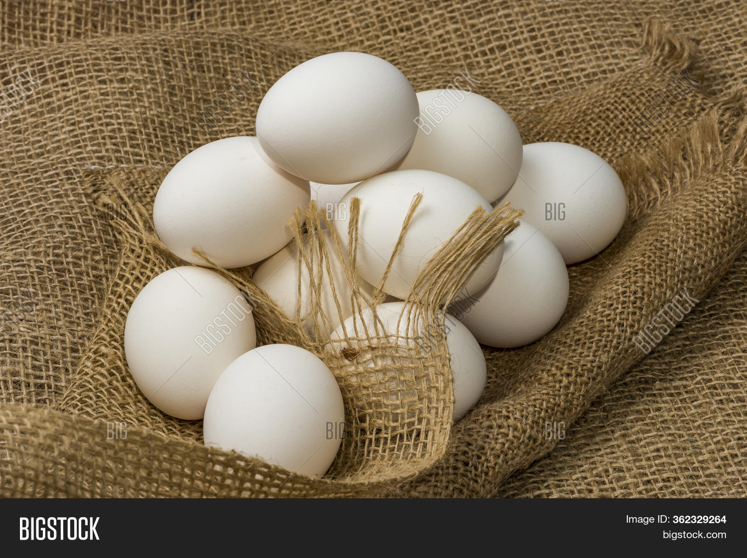White Chicken Eggs Image & Photo (Free Trial) Bigstock