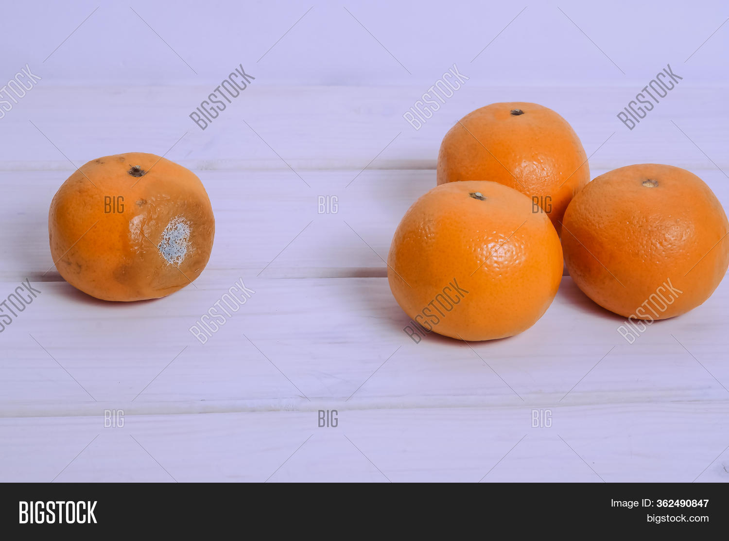 Spoiled Tangerine Mold Image & Photo (Free Trial) Bigstock
