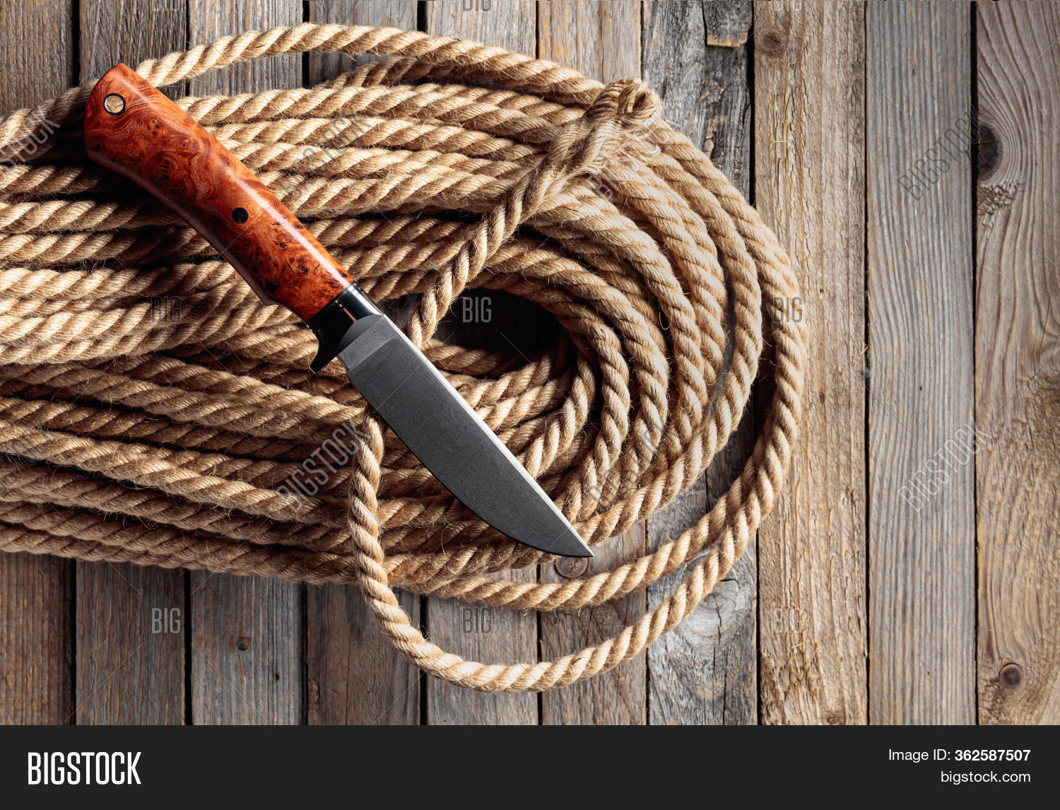 Hunter Combat Hand Image & Photo (Free Trial) Bigstock