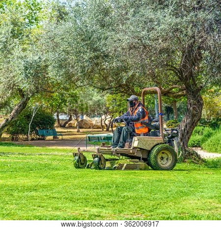 Man Wear Safety Masks As A Precaution During Outbreak The Coronavirus During Mows The Grass With Law