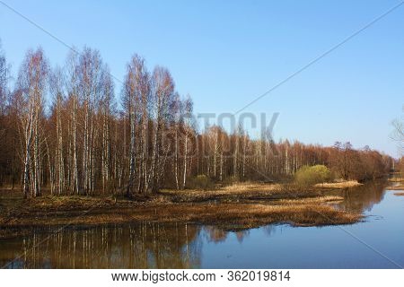 Beautiful Autumn Landscape With Autumn Nature And The River. Light Cloudless Sky, Beautiful View Wit