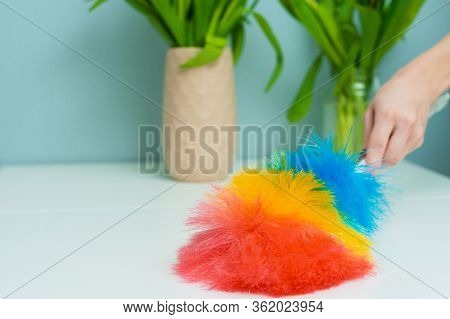 Womans Hand With A Fluffy Dust Brush. A Woman Shakes Off Dust And Crumbs From A Table On Which There