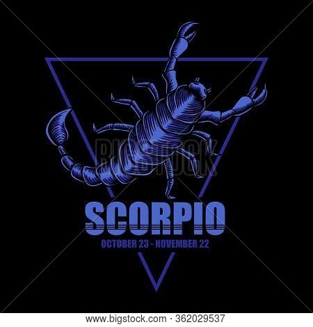 Scorpio Zodiac Vector Illustration For Your Company Or Brand