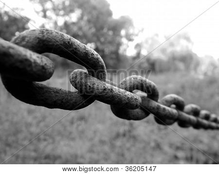 Chain Links