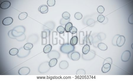 Cell Division Of Bacteria. 3d Rendered Illustration.